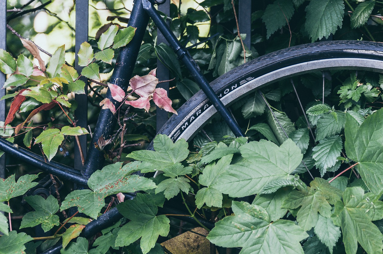 Transforming Old Tires with Upcycling